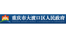 大渡口政府